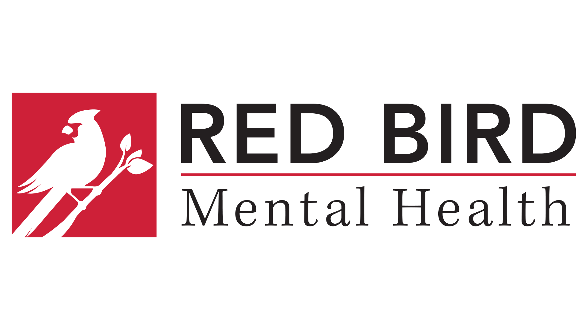 Mental Health Professionals in Wilkes-Barre, Pennsylvania | Red Bird Mental Health